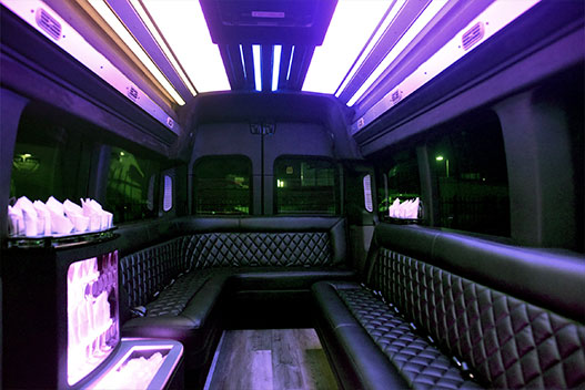 New-2024-Limo-Van 1-14 Passenger New 2024 Limo Van
